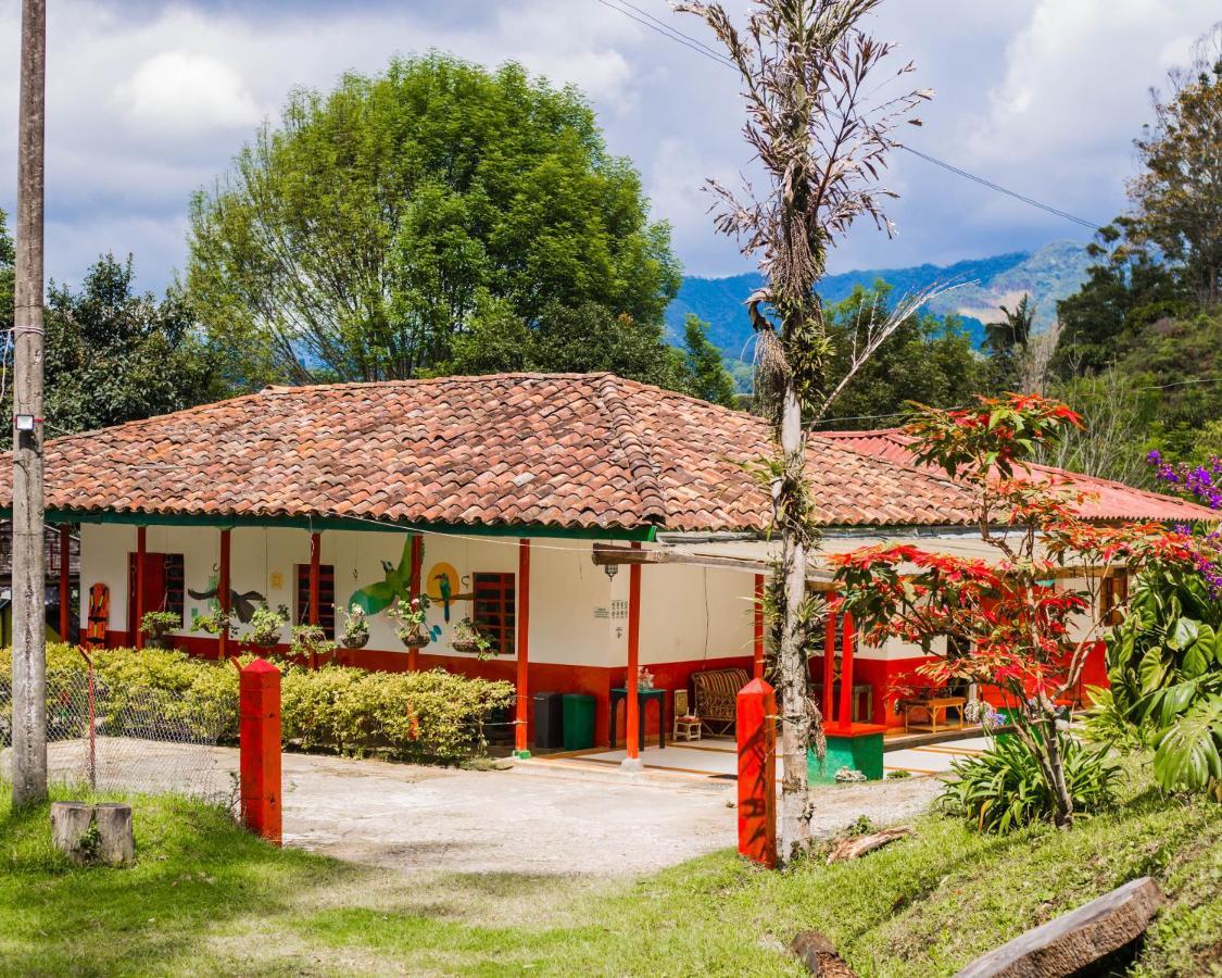 Ecofinca 萨兰托 外观 照片