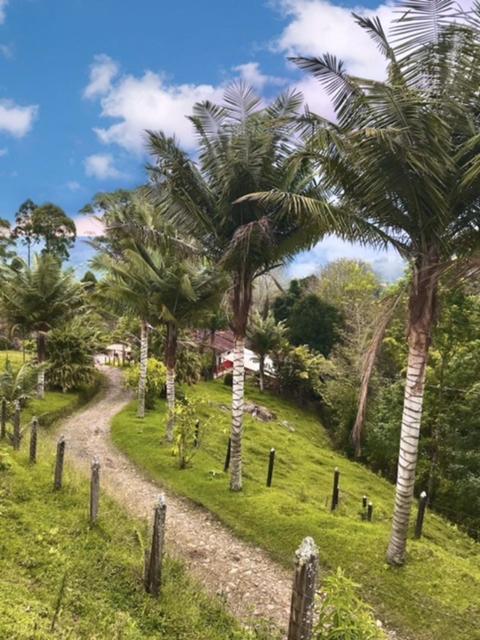 Ecofinca 萨兰托 外观 照片