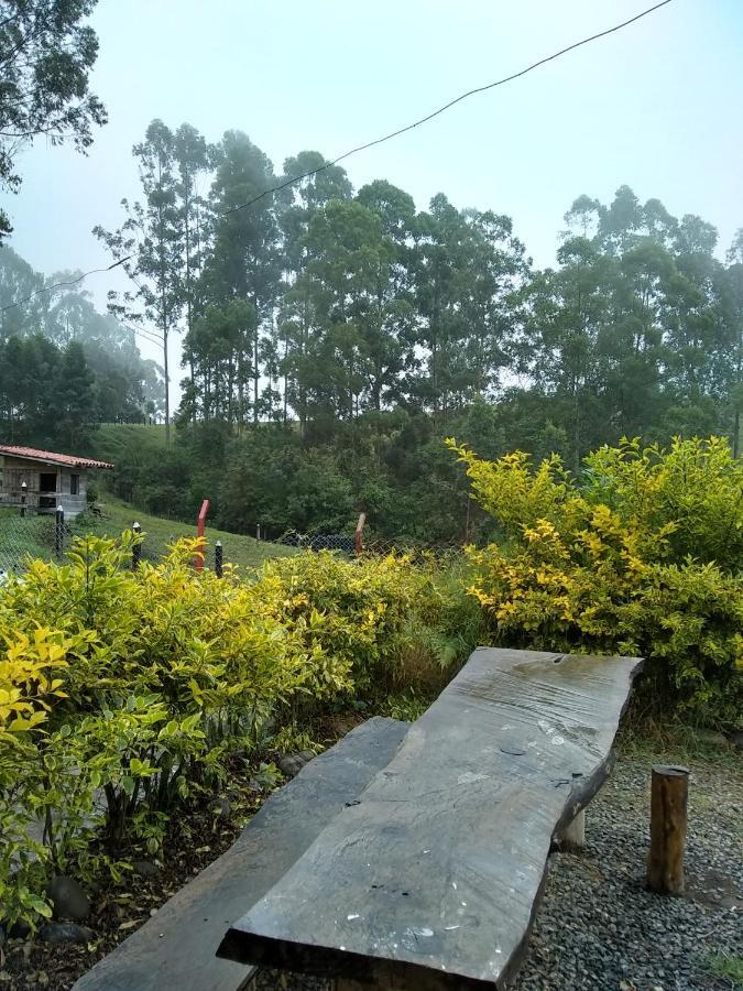 Ecofinca 萨兰托 外观 照片